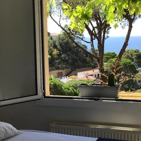 De Pino Vue